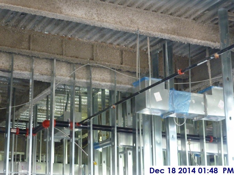 Installing sprinkler branches at the 2nd floor  Facing North (2)